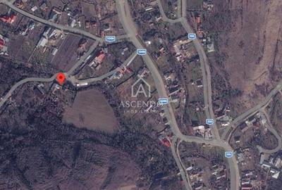 Teren Construcții intravilan de 15900 mp, în Fințești - 29