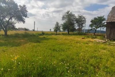 Casă cu 3 camere cu Teren 5000 Mp în Rădăuți