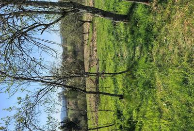 Casă cu Teren 20000 Mp în Vârfurile - 1