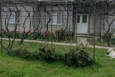 Casă cu 4 camere cu Teren 1150 Mp în Puiești - 8
