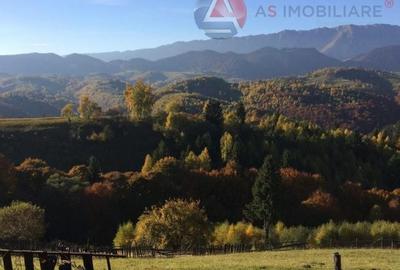 Teren intravilan de 10669 mp, în Moieciu de Jos
