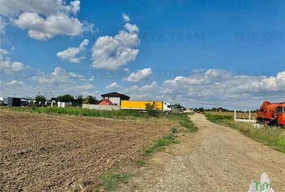 Teren Construcții intravilan de 40500 mp, în Frumușani - 5