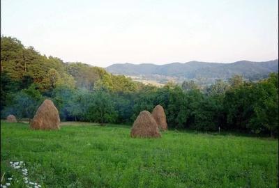 Teren de 7000 mp, în Valea Iașului - 5