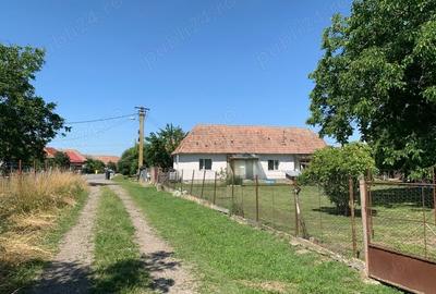 Teren de 7726 mp, în Vidrasău - 1