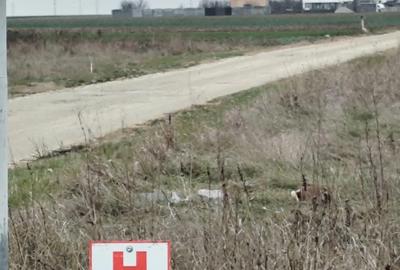 Teren de 5000 mp, în Ghercești - 1