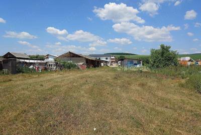 Teren de 3500 mp, în Iclod - 1
