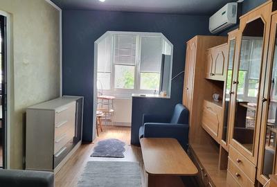 Apartament cu 2 camere semidecomandat, mobilat în Tipografilor - 9