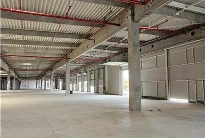 Spațiu industrial, de 1,500 mp, în Nord-Vest - 13