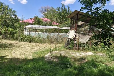 Casă cu 4 camere cu Teren 3000 Mp în Ghimpați