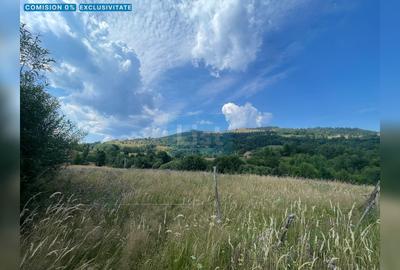 Teren de 10000 mp, în Săcuieu