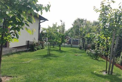 Casă cu 4 camere în Balciu - 5