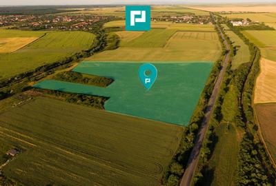Teren agricol extravilan de 42200 mp, în Secusigiu - 1