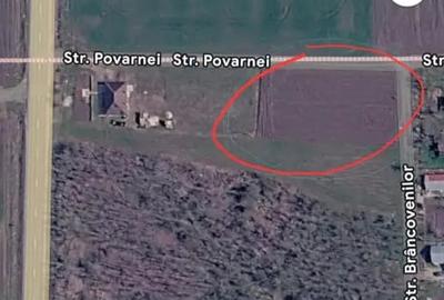 Teren de 1436 mp, în Florica