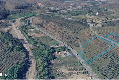 Teren de 11600 mp, în Baciu - 1