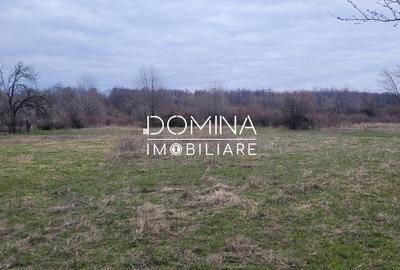 Teren Construcții intravilan de 4364 mp, în Crasna - 3