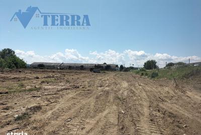Teren de 7500 mp, în Micești