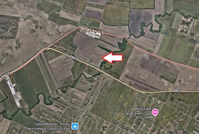 Teren Construcții intravilan de 8200 mp, în Dumbrăvița - 4