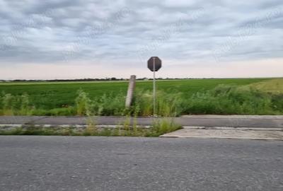 Teren de 4575 mp, în Filipeștii de Târg - 1