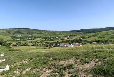Spațiu comercial, în Borhanci