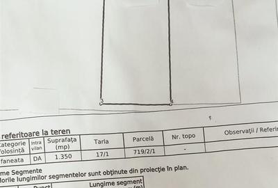 Spațiu comercial, în Tomești