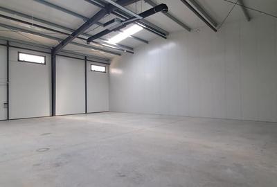 Spațiu industrial, de 736 mp, în Mogoșoaia - 10