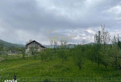 Teren de 4057 mp, în Aluniș - 9
