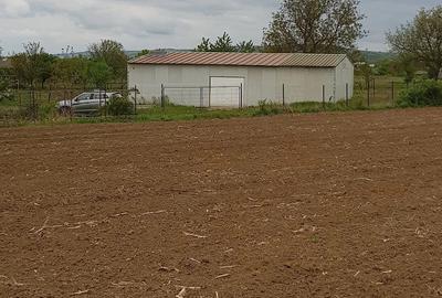 Teren de 20000 mp, în Almăj - 4