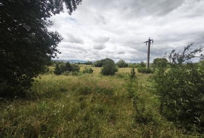 Teren de 4594 mp, în Gălănești