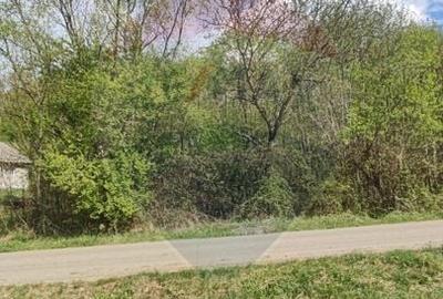 Teren agricol intravilan de 1700 mp, în Borod - 12