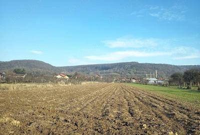 Teren de 2983 mp, în Central - 5