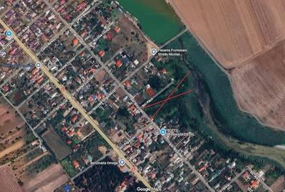 Teren de 10000 mp, în Frumușani