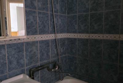 Apartament cu 2 camere decomandat în Valea Aurie