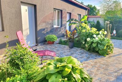 Casă cu 5 camere cu Teren 527 Mp în Berzasca