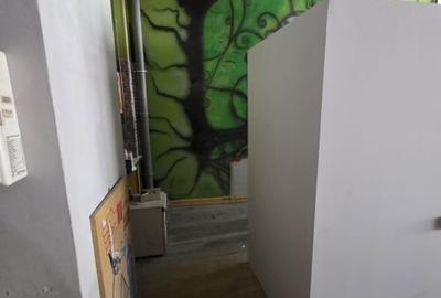 Spațiu comercial, de 227 mp, în Capitol - 19
