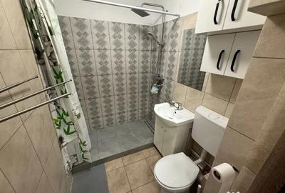 Apartament cu 2 camere semidecomandat în Pantelimon - 6