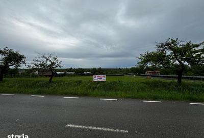 Teren de 2300 mp, în Gârcina - 3