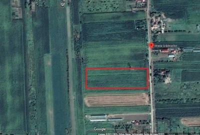 Teren de 6800 mp, în Careiului - 3