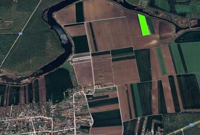Teren Construcții intravilan de 25000 mp, în Moara Vlăsiei - 7