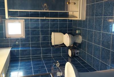 Casă cu 9 camere în Valea Mare - 2