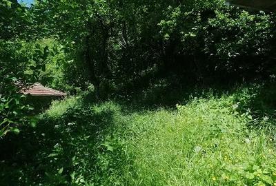 Casă cu 6 camere cu Teren 420 Mp în Breaza - 12