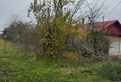 Teren de 3575 mp, în Lăceni - 4