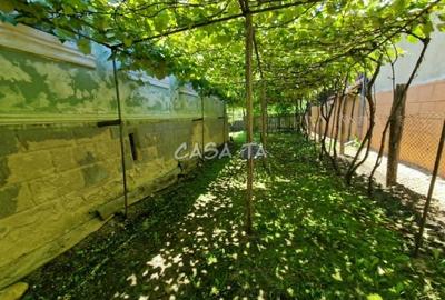 Casă individuală cu 3 camere cu Teren 913 Mp în Central - 11