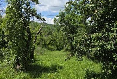 Casă cu 3 camere cu Teren 66 Mp în Central - 2