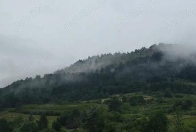Teren de 1474 mp, în Sălciua - 4