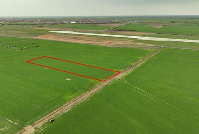 Teren Construcții intravilan de 5000 mp, în Nojorid - 2