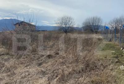 Teren în Central