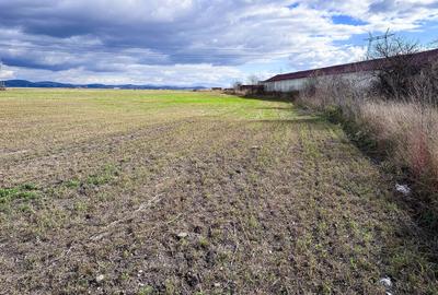 Teren agricol intravilan de 5000 mp, în Hălchiu - 5