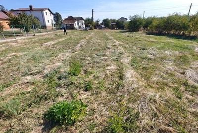 Teren de 1200 mp, în Negru Vodă