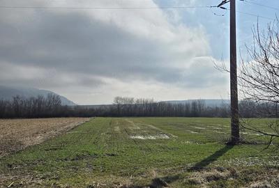 Teren de 3000 mp, în Sântămăria-Orlea - 1