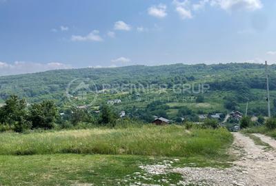 Teren agricol extravilan de 633 mp, în Tomești - 1